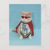 Superhero Bubba Postkarte (Vorderseite)