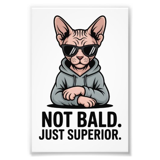 Superior Sphynx Cat Sarcastic Attitude Art Fotodruck (Vorne)