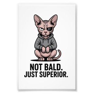 Superiore Sphynx-Katzen-Attitüde-Illustration Fotodruck