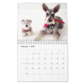Superkalender owens 2016 kalender (Feb 2027)