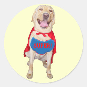 SuperLabrador-Belohnungs-Aufkleber Runder Aufkleber
