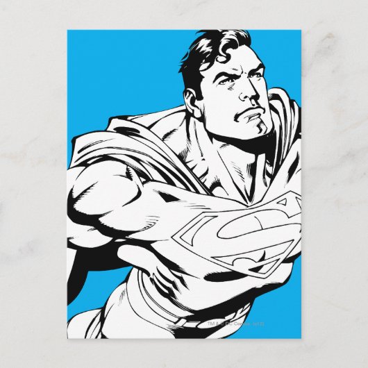 Superman Black and White 1 Postkarte (Vorderseite)
