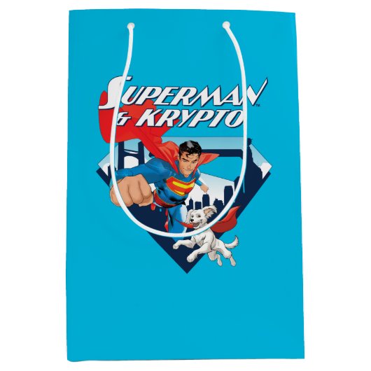 Superman & Krypto Soar Mittlere Geschenktüte (Vorderseite)