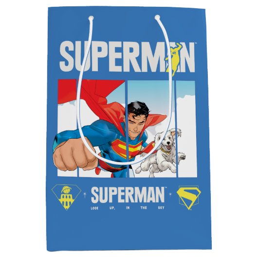 Superman und Krypto fliegen Mittlere Geschenktüte (Vorderseite)