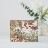 Supernatural Cat Postkarte (Stehend Vorderseite)