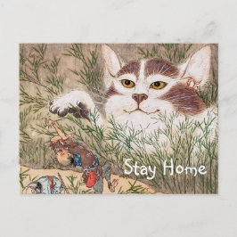 Supernatural Cat Postkarte