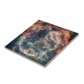 Supernova Remnant Cassiopeia A. Fliese (Seite)