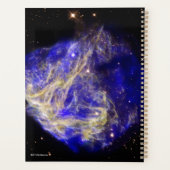 Supernova Remnant N49 Planer (Rückseite)