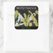 SUPERNOVA SATIVA QUADRATISCHER AUFKLEBER (Tasche)