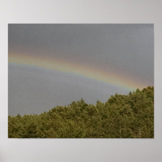Supernumerischer Regenbogen, oberhalb des immergrü Poster