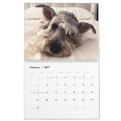 Superowen der Kalender des Schnauzer-2019 (Feb 2027)