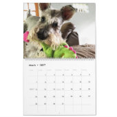 Superowen der Kalender des Schnauzer-2019 (Mär 2027)