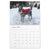 Superowen der Kalender des Schnauzer-2019 (Jan 2027)