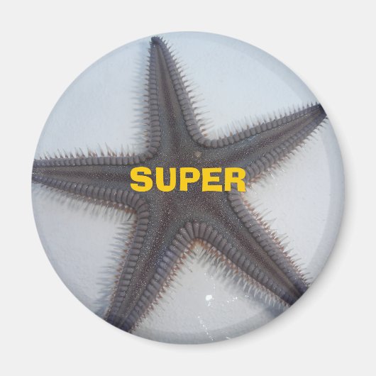 Superstar Magnet (Vorne)