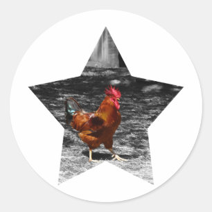 Superstern-Huhn Runder Aufkleber