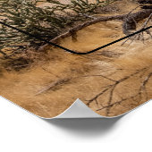 Superstil, Arizona Poster (Ecke)