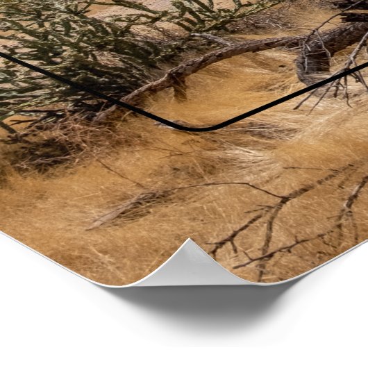 Superstil, Arizona Poster (Ecke)