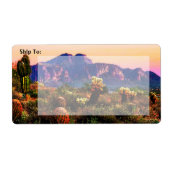 Superstition Berg Arizona Wüstenlandschaft (Vorne)