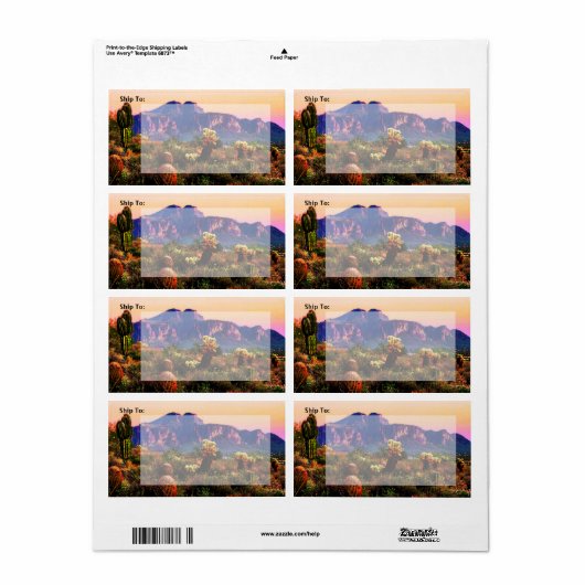 Superstition Berg Arizona Wüstenlandschaft (Vorne)