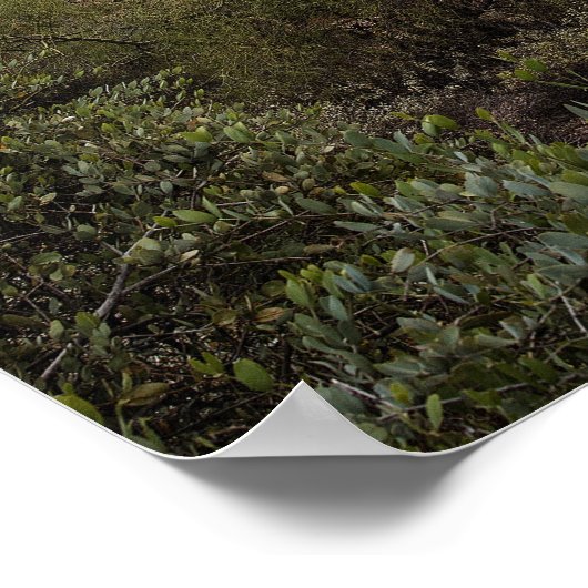 Superstition Mountain Poster (Ecke)