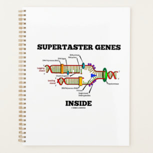 Supertaster-Gene innerhalb des DNA-Replikations-Sp Planer