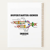 Supertaster-Gene innerhalb des DNA-Replikations-Sp Planer (Rückseite)
