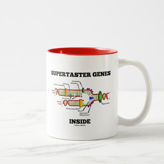 Supertaster Genes Inside (DNA-Replikation) Zweifarbige Tasse (Rechts)