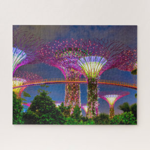 Supertree Grove Puzzle