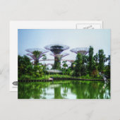 Supertrees und Libellensee Postkarte (Vorne/Hinten)