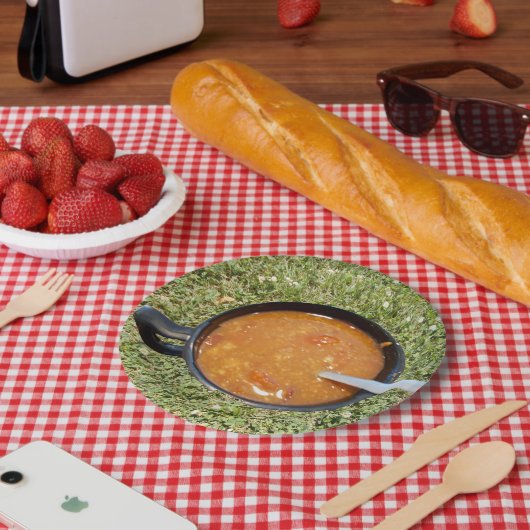 Suppe auf der Papierplatte Pappteller (Picknick)