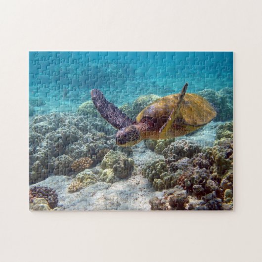 Suppenschildkröte Puzzle (Horizontal)