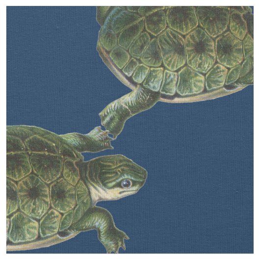 Suppenschildkröte Stoff (Nahaufnahme)