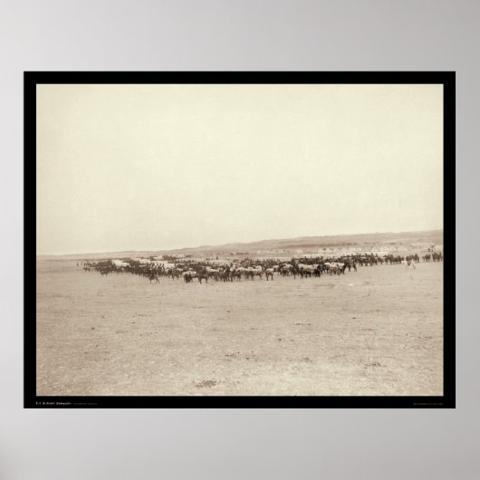 Supply Wagons & Pack Mules SD 1887 Poster (Vorne)