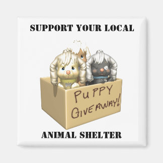 Support-Magnet Magnet