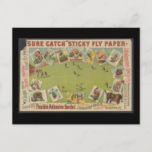 "Sure Catch" klebriges Fly Paper Postkarte