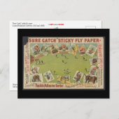 "Sure Catch" klebriges Fly Paper Postkarte (Vorne/Hinten)