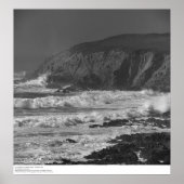 Surf and Rocks near Bodega Station, 1966 Poster (Vorne)