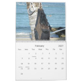 Surf Hawaii Kalender (Feb 2027)