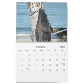 Surf Hawaii Kalender (Feb 2026)