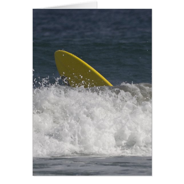 Surf ist auf! (Vorne)