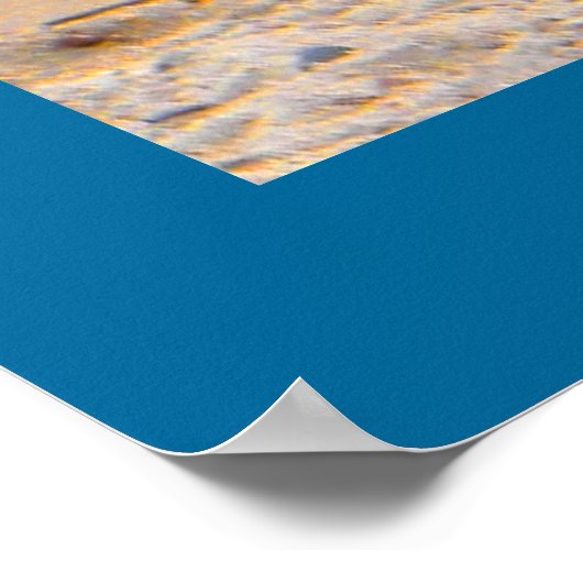 Surf ist auf! - Gänse Poster (Ecke)