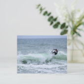 Surf ist auf!! postkarte (Stehend Vorderseite)