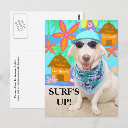 SURF IST AUF! POSTKARTE (Vorne/Hinten)
