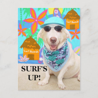 SURF IST AUF! POSTKARTE