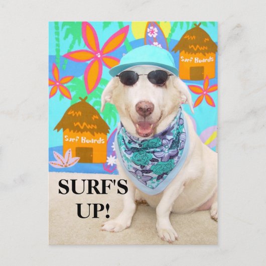 SURF IST AUF! POSTKARTE (Vorderseite)