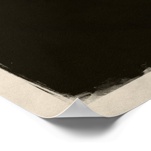 Surf Lake Michigan! Poster (Ecke)