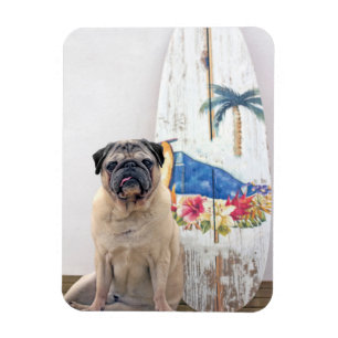 Surf-Mops Magnet