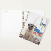 Surf-Mops Planer (Anzeige)