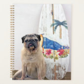 Surf-Mops Planer (Vorderseite)