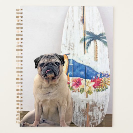 Surf-Mops Planer (Vorderseite)